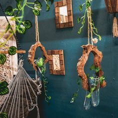 hanging plants and mirrors on a blue wall