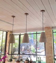 three lamps hanging from the ceiling in a room with large windows and plants on the table