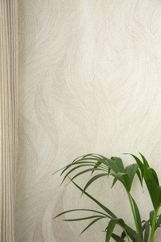 a potted plant sitting on top of a wooden table next to a white wall