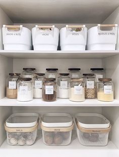 organized pantry shelves with containers and bins for spices, nuts, and other items