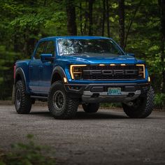 a blue truck is parked in the woods