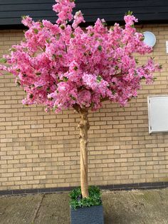 pink flowers are growing in a planter on the side of a brick walled building