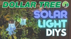 the solar light diys are hanging in front of some trees and bushes with text that reads, dollar tree solar light diy's