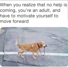 a dog walking across a street with a leash in its mouth and the caption reads, when you reazie that no help is coming, you're an adult, and have to motivate yourself to move