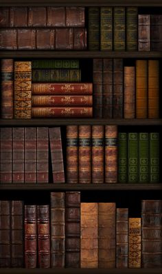 an old bookshelf filled with lots of brown and green books