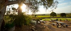 the sun shines brightly behind picnic tables and benches on a deck in an open field