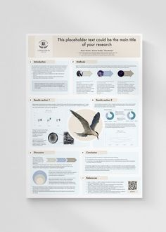 a poster with information about birds in flight