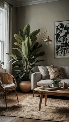 a living room filled with furniture and a large plant in front of a window on top of a hard wood floor