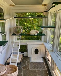 a white cat sitting on top of a green shelf in a room filled with windows