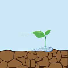 a plant sprouts from the ground with rocks and water in it royalty illustration