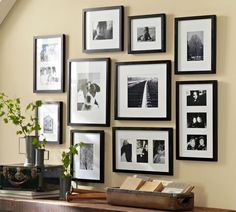 a bunch of pictures are hanging on the wall next to a table with a plant