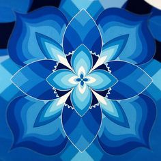 a blue and white flower is shown in this image