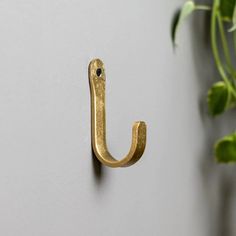 a metal hook on the side of a wall next to a potted green plant