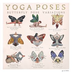 a poster with different types of yoga poses and their names on the back of it