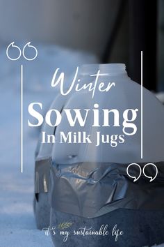 a white jug sitting on top of a snow covered ground with the words winter sowing in milk jugs