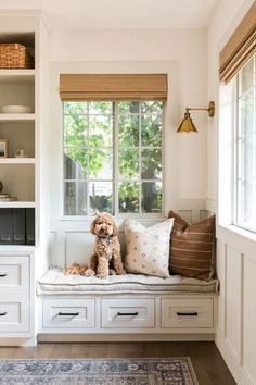 a dog sitting on a bench in front of a window