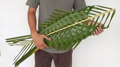 a man holding a large green palm leaf