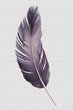 an image of a feather that is on the side of a white background with no people around it