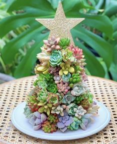 a small christmas tree made out of succulents on a table with a gold star