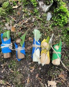 four small wooden pegs tied to each other on the ground