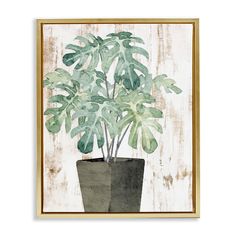 a painting of a potted plant with green leaves on a white wooden background in a gold frame