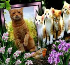 a group of kittens sitting next to each other in front of flowers and birds