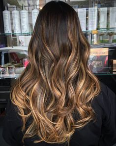 dark brown hair with golden brown ombre highlights Dark Chestnut Brown Hair, Hair Color Brown Chestnut, Natural Dark Hair, Dyed Hair Ombre, Highlights For Dark Brown Hair, Chestnut Brown Hair, Brown Ombre Hair, Ombre Highlights, Dye Ideas