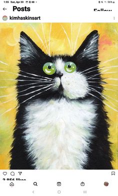 a painting of a black and white cat with green eyes on an instagram page