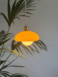 an orange lamp hanging from a ceiling next to a palm tree