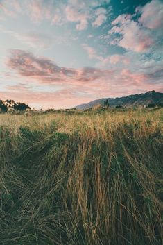 a field with tall grass and mountains in the background at sunset or sunrise, taken from below