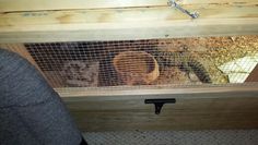 the inside of a chicken coop with two chickens in it