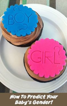 two decorated cupcakes on a plate with the word boy and girl spelled out