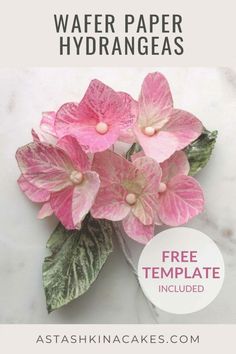 pink flowers with green leaves and text overlay that says water paper hydrangeas