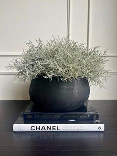 Artificial silver santolina set in a black melange terracotta bowl planter displayed on a stack of books. Indoor Plants Aesthetic, Indoor Plant Hacks, Easy Centerpieces, Plant Centerpieces, Decoration Plants, Coffee Table Plants, Plant Styling, Black Living Room Decor, Plants Aesthetic