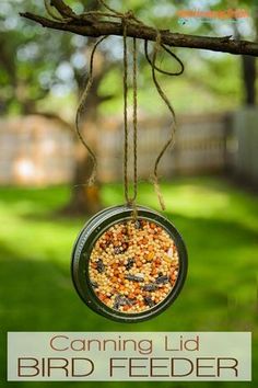 a bird feeder hanging from a tree branch with the words canning lid bird feeder on it