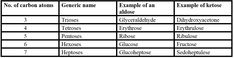 the table shows different types of words in each language, including one that has been written