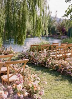 A Romantic Wedding in California's Wine Country Ceremony Seating Arrangements, Outdoor Wedding Seating, Black Swan Lake, Simple Chairs, Summer Outdoor Wedding, A Willow Tree, Wedding Reception Guest, Golden Hour Wedding, Wedding Signature Drinks