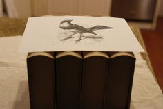 an open book sitting on top of a table with a bird drawn on the pages