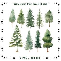 watercolor pine trees clipart