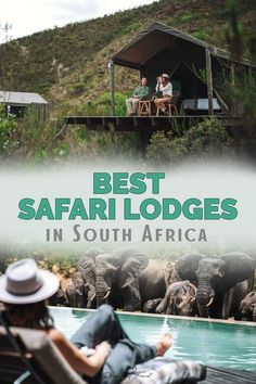 two people sitting on chairs in front of an elephant pool with the words best safari lodges in south africa