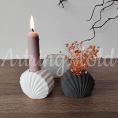 two seashells are sitting on a table next to a candle