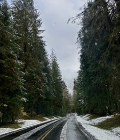 the road is lined with snow and trees on both sides, as well as some evergreens