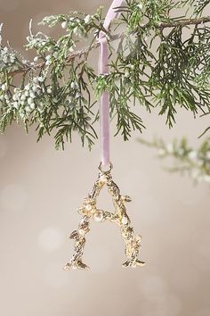 an ornament hanging from a tree branch