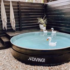 an inflatable swimming pool with two ducks sitting on it and the words madving written on the side