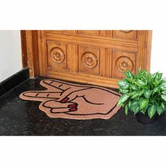 a potted plant sitting next to a door mat