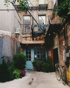 an alleyway with lots of plants and lights