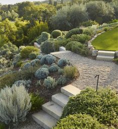 an outdoor garden with steps and plants