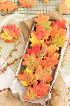 fall leaves in a container on a table