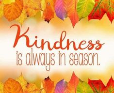 the words kindness is always in season surrounded by autumn leaves