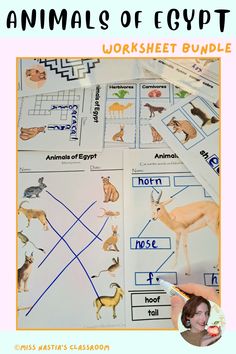 the animals of egypt worksheet for kids to practice their language and writing skills